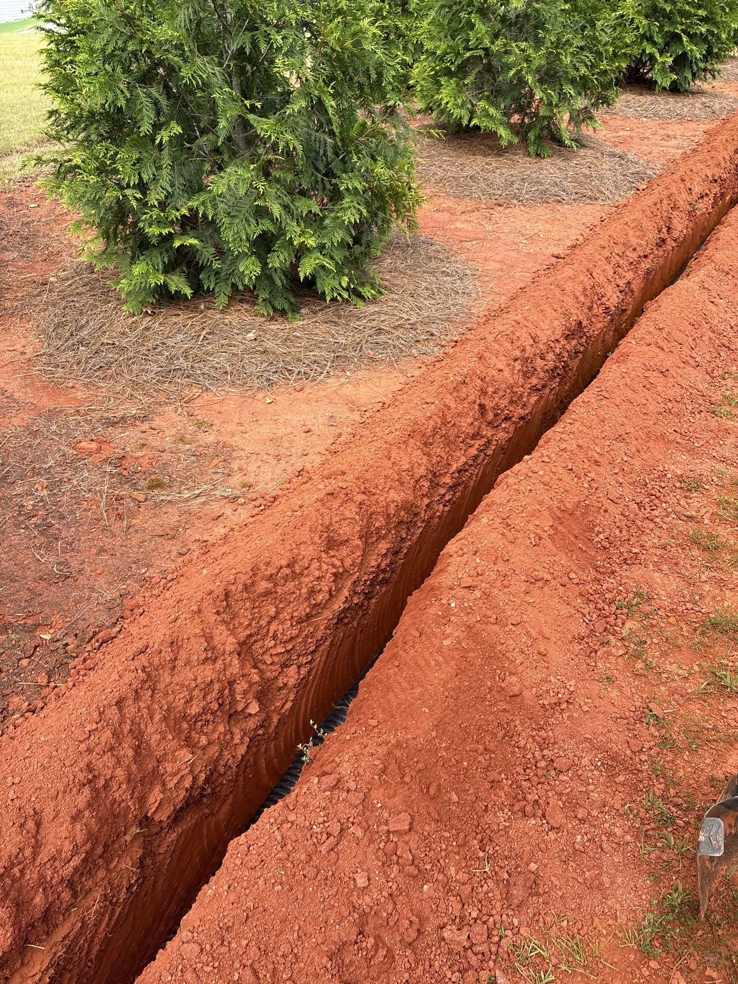 Deep trench alongside a row of evergreen shrubs, exposing orange-red soil and a black irrigation pipe.